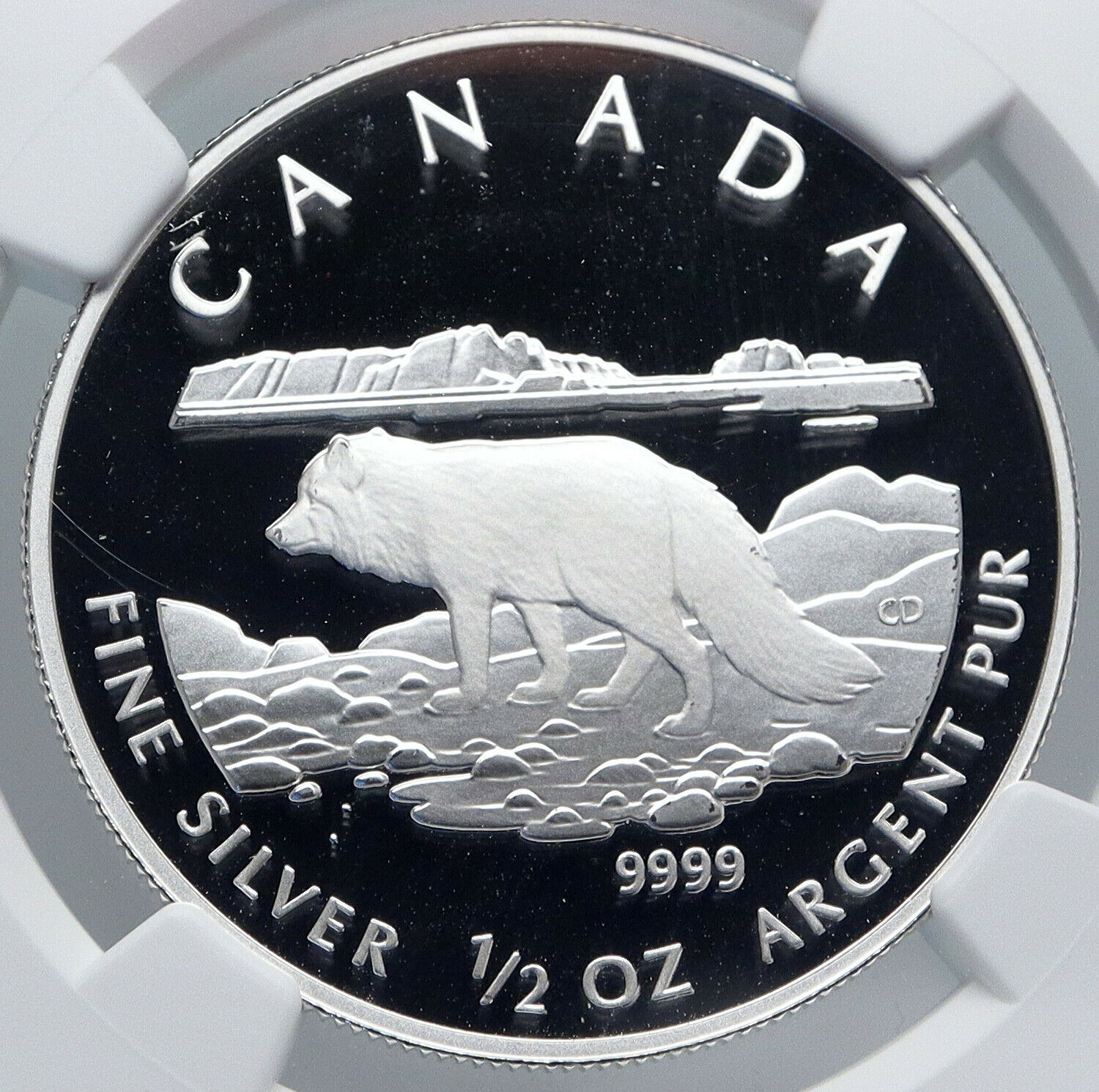 2004 CANADA UK Queen Elizabeth II ARCTIC FOX Old Silver Proof $4 Coin NGC i89240