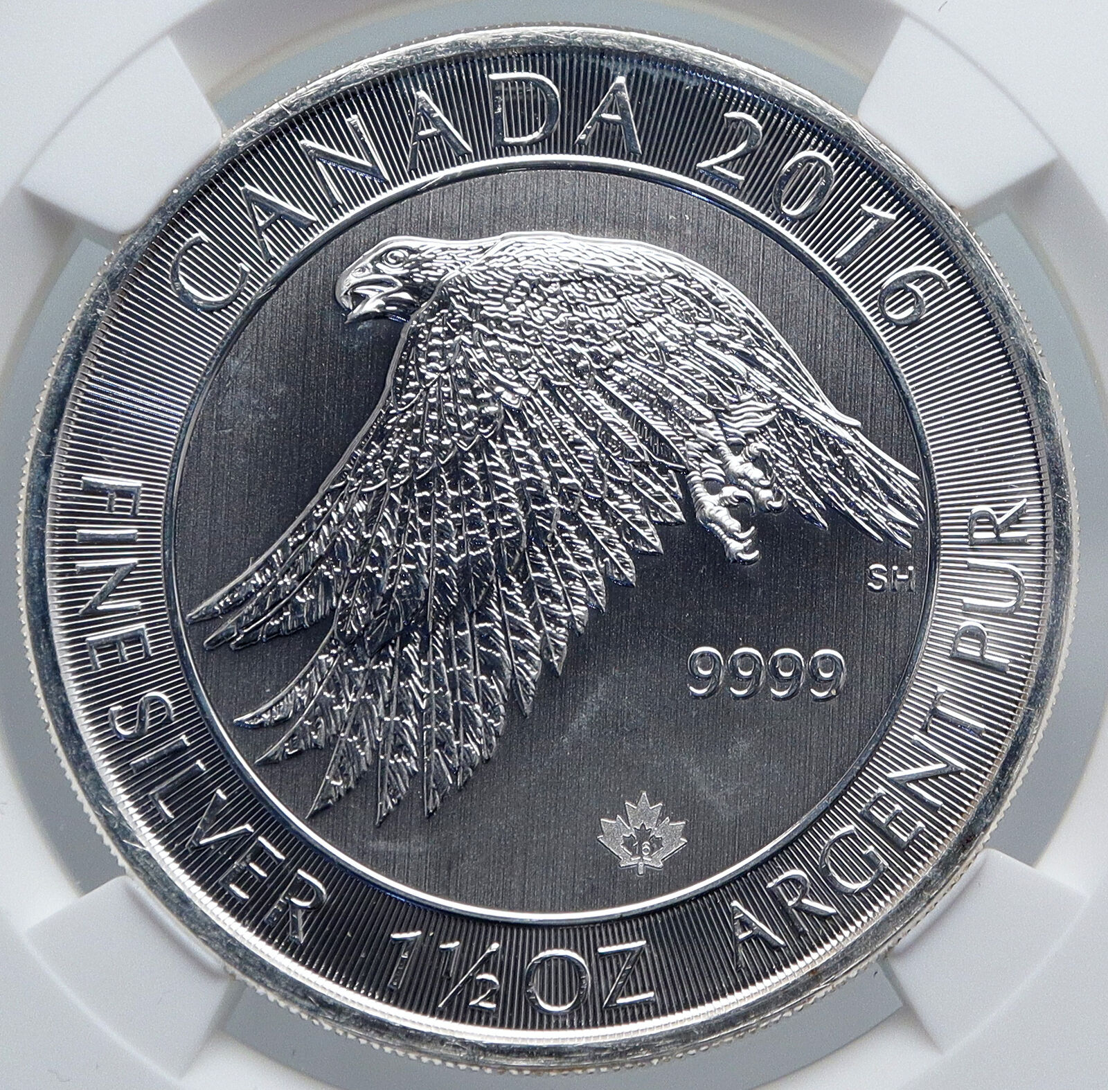 2016 CANADA Queen Elizabeth II SNOWY GYRFALCON 1.5 OZ Silver $8 Coin NGC i89238