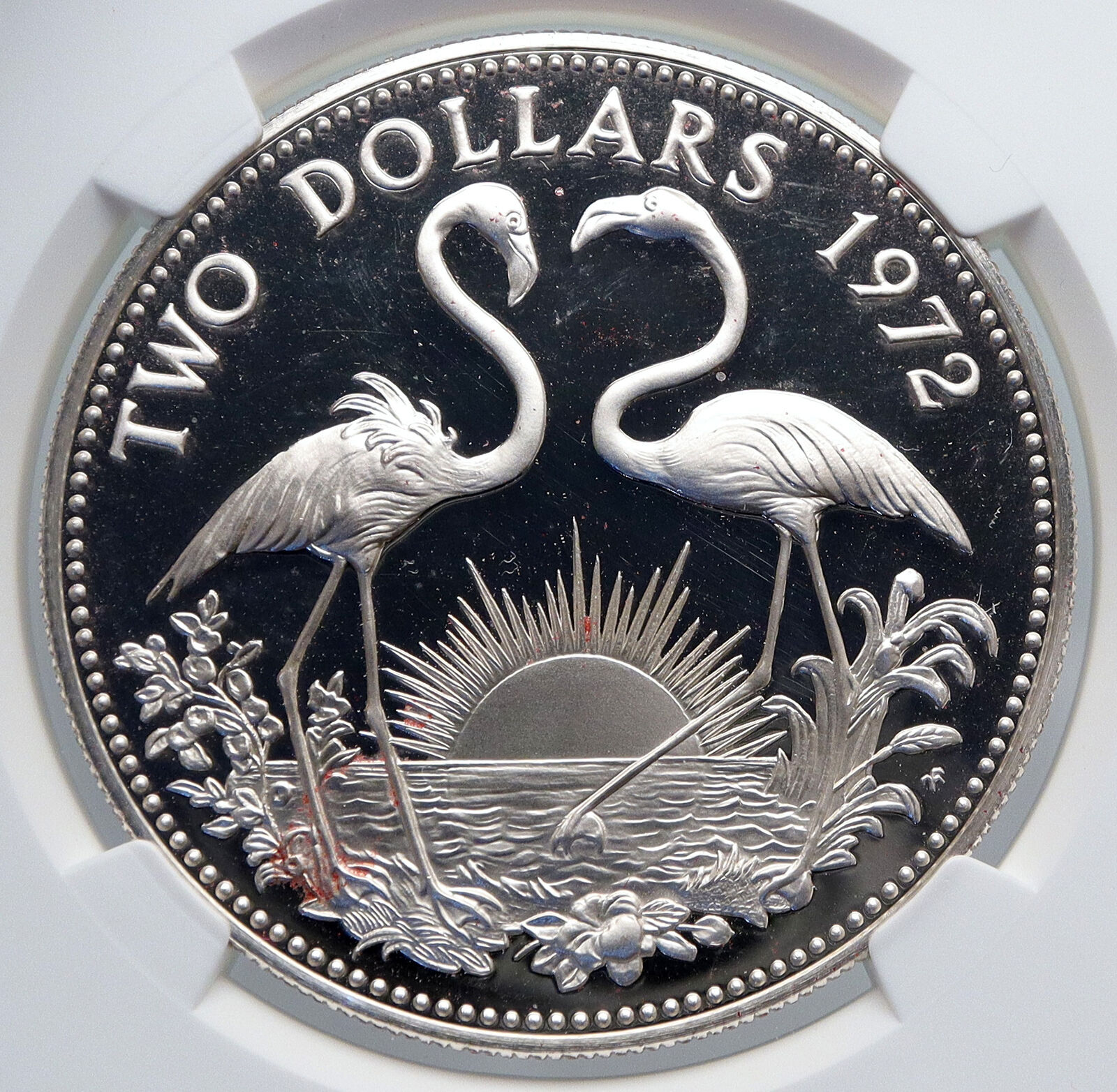 1972 The BAHAMAS Old Queen Elizabeth II FLAMINGO Proof Silver $2 Coin NGC i89242