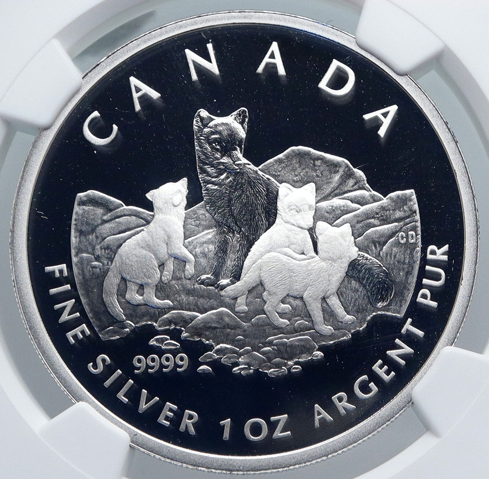 2004 CANADA UK Queen Elizabeth II ARCTIC FOX Old Silver Proof $5 Coin NGC i89239