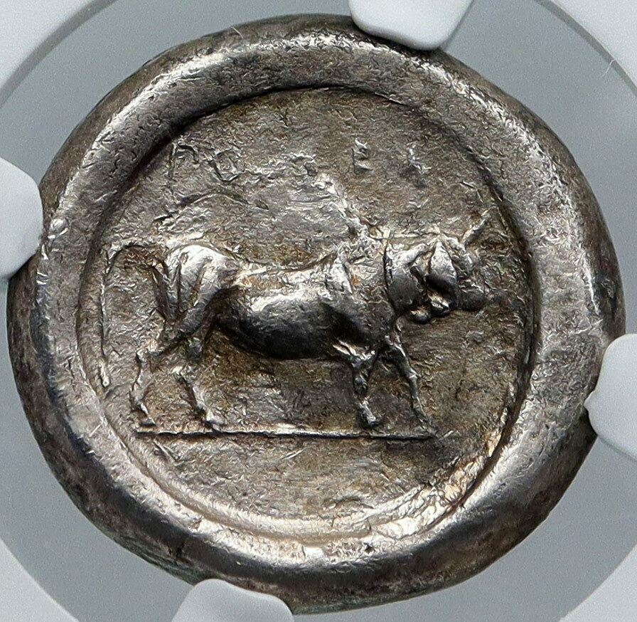 POSEIDONIA Paestum in LUCANIA Authentic Ancient Silver Greek Coin NGC i88628