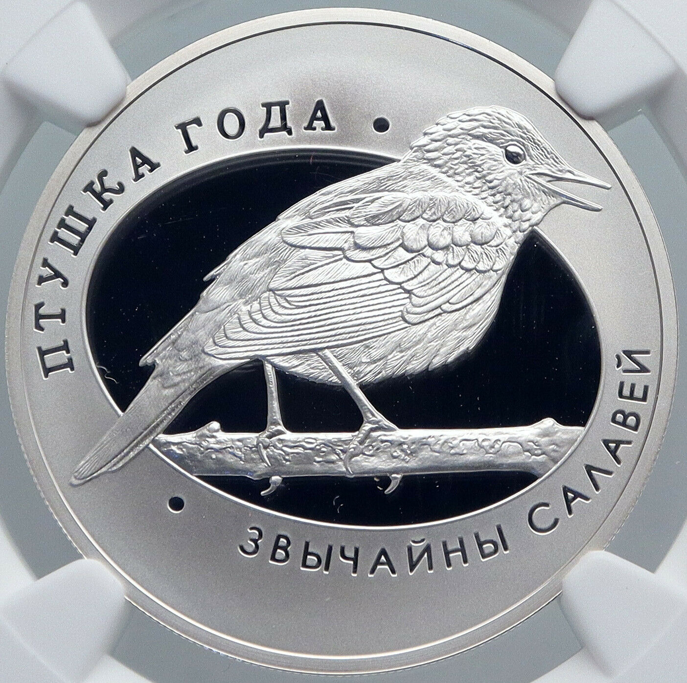 2007 BELARUS Animals NIGHTINGALE BIRD Pet Proof Silver 10 Rouble Coin NGC i89230