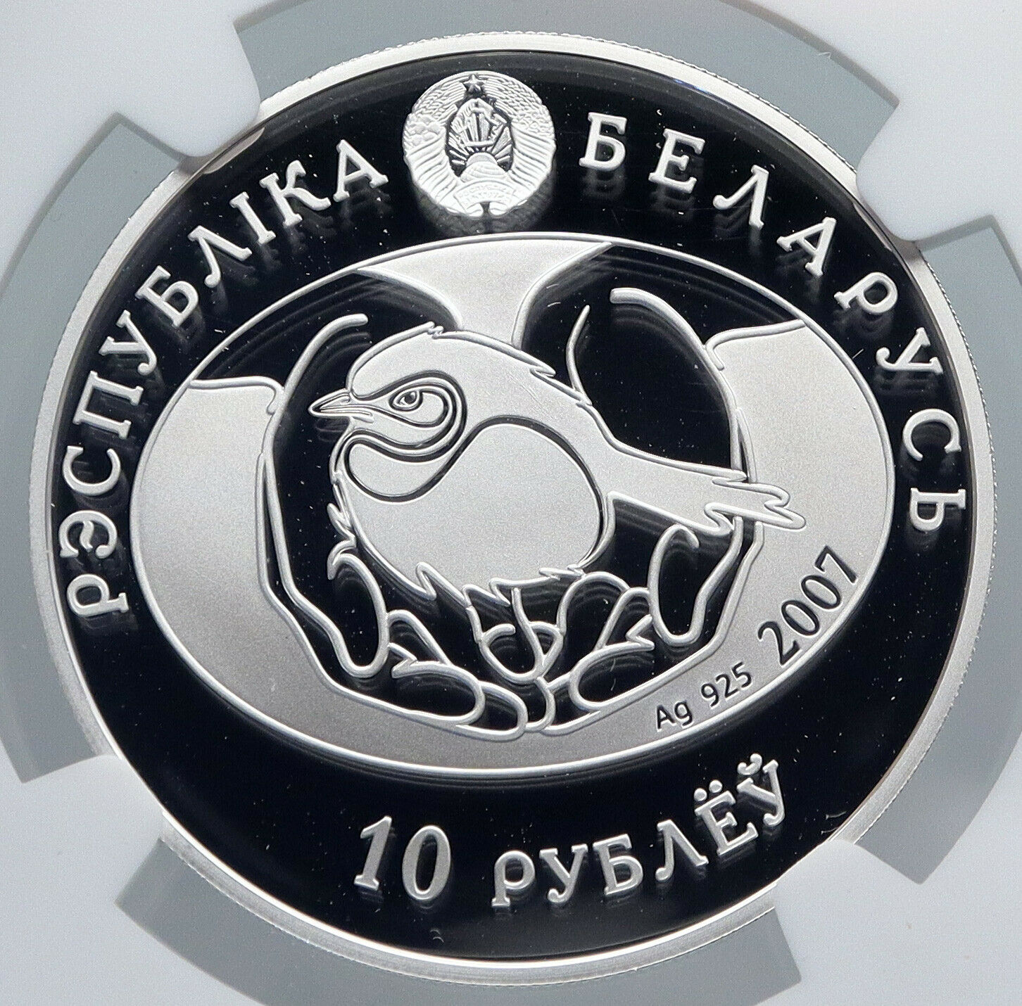 2007 BELARUS Animals NIGHTINGALE BIRD Pet Proof Silver 10 Rouble Coin NGC i89230