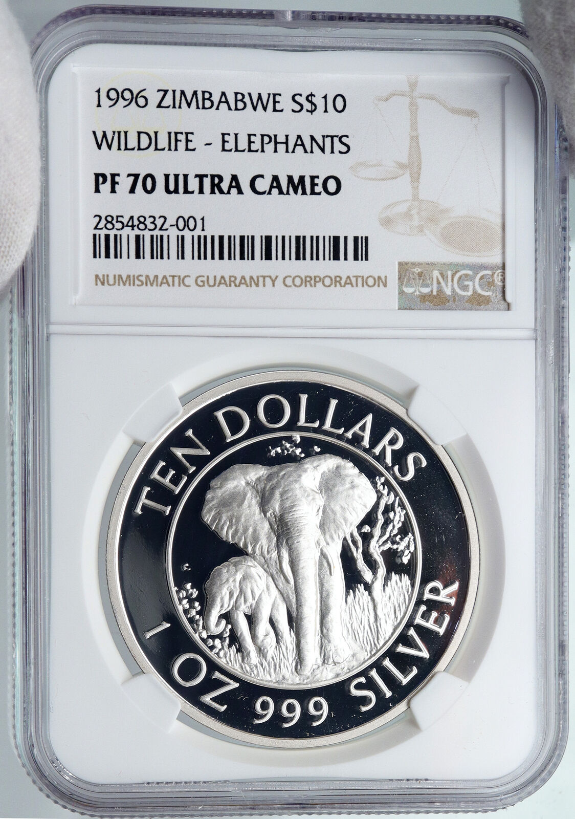 1996 ZIMBABWE Wildlife ELEPHANTS AFRICAN OLD Silver 10 Dollar Coin NGC i89218