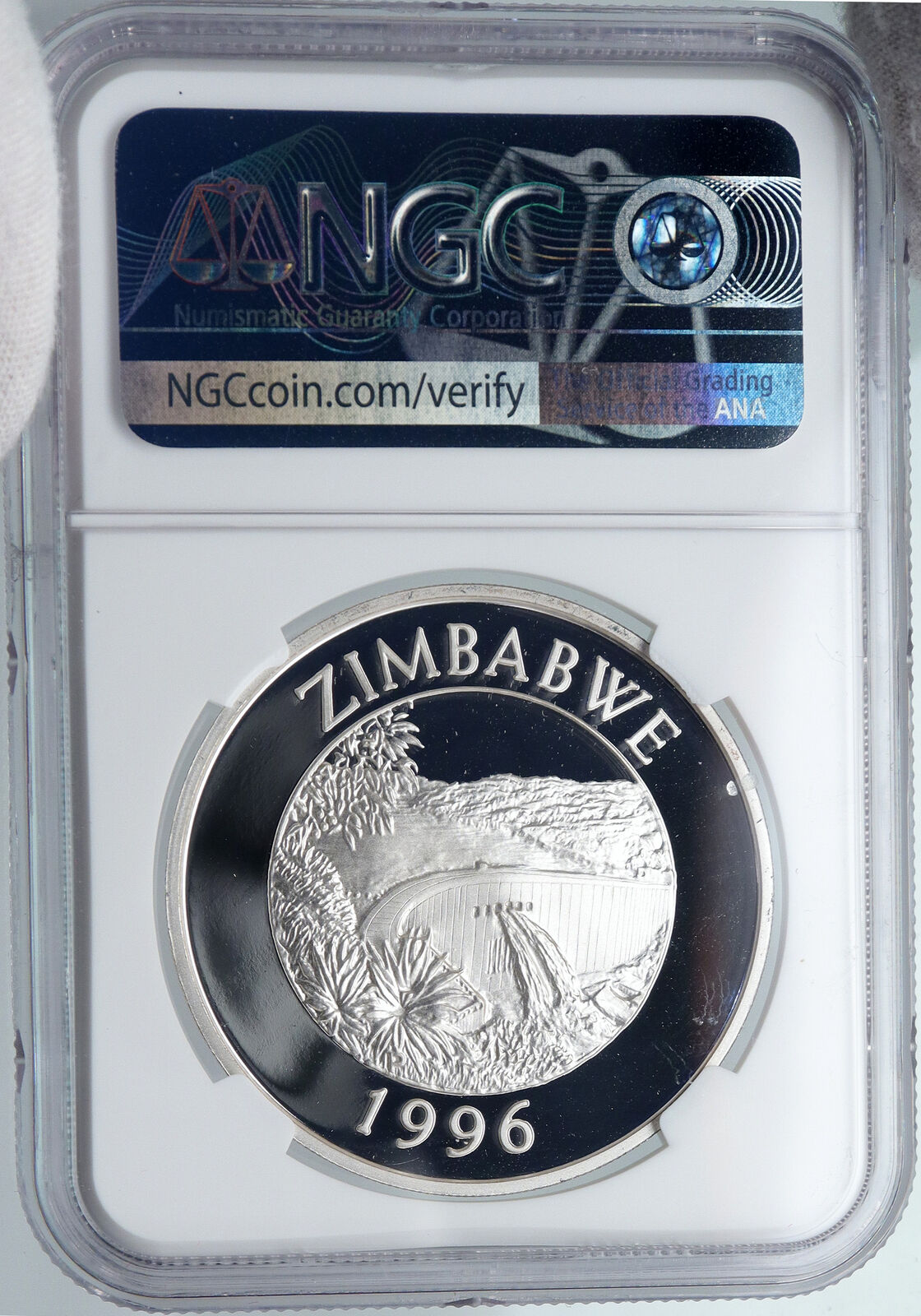 1996 ZIMBABWE Wildlife ELEPHANTS AFRICAN OLD Silver 10 Dollar Coin NGC i89218