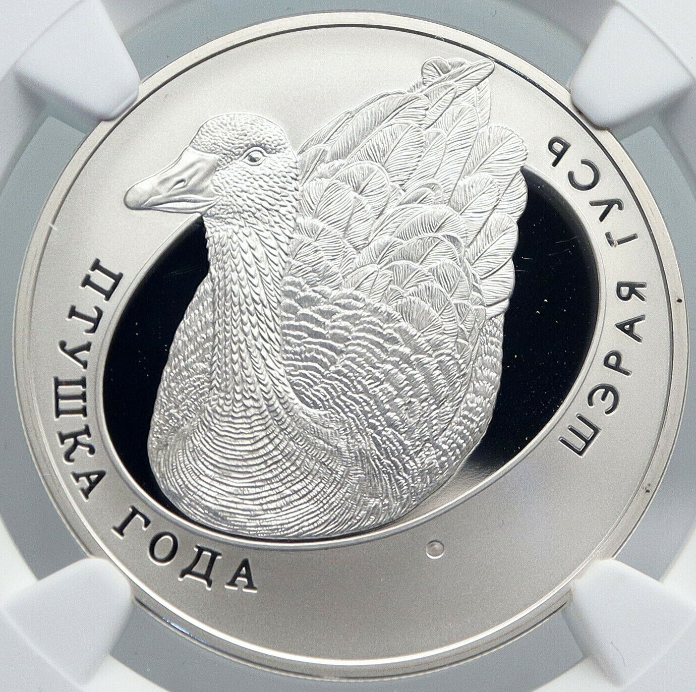 2008 BELARUS Animal GREAT WHITE EGRET BIRD Proof Silver 10 Ruble Coin NGC i89226