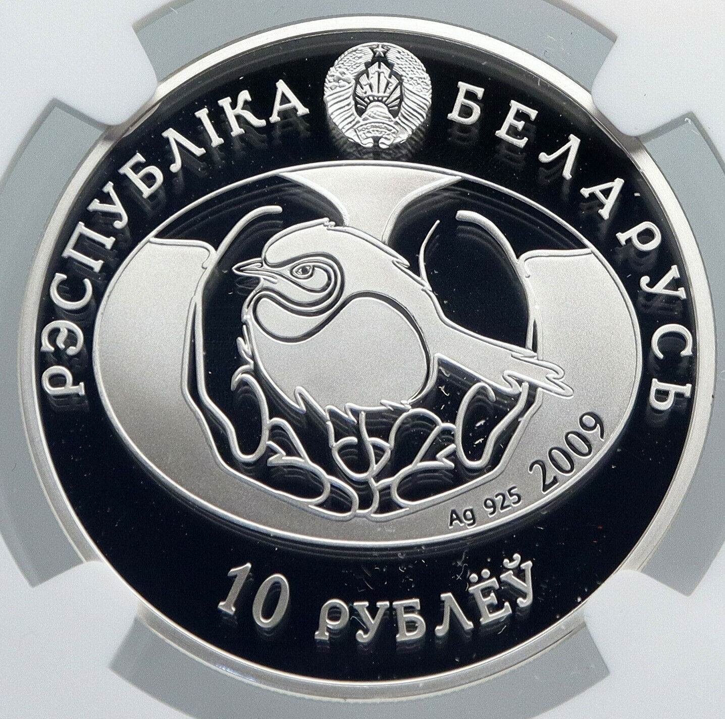 2008 BELARUS Animal GREAT WHITE EGRET BIRD Proof Silver 10 Ruble Coin NGC i89226