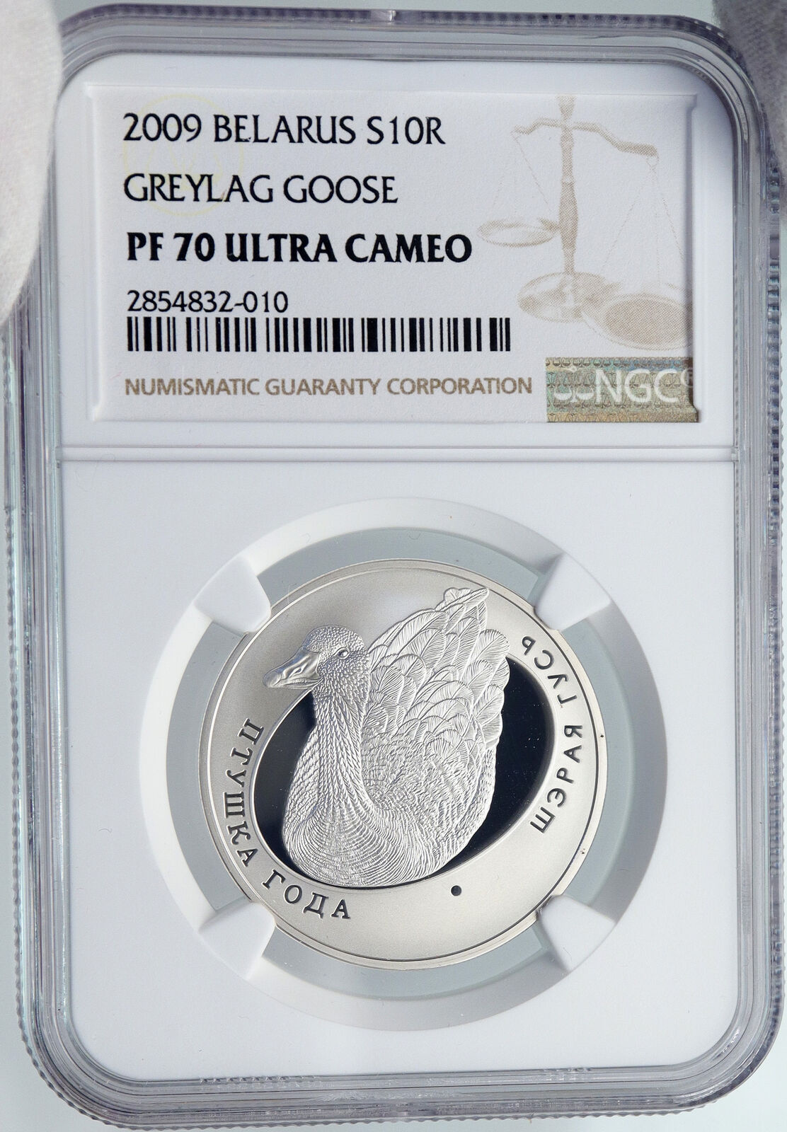 2008 BELARUS Animal GREAT WHITE EGRET BIRD Proof Silver 10 Ruble Coin NGC i89226