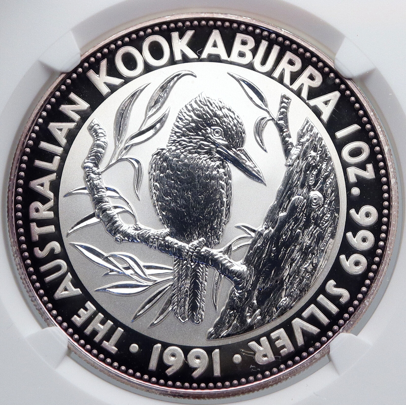 1991 AUSTRALIA Kookaburra Bird Tree Silver 5 Dollar Australian Coin NGC i89276