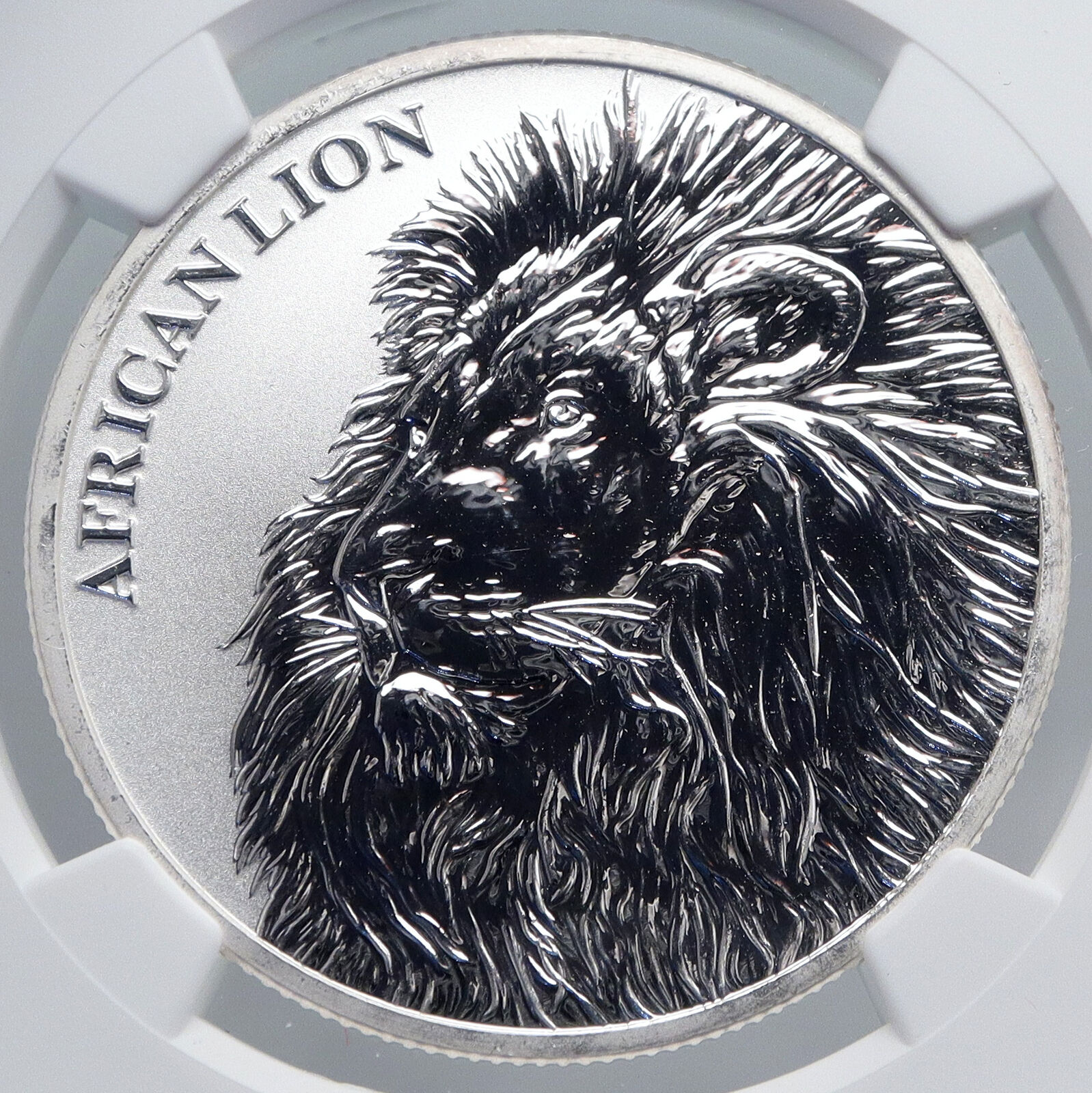 2018 CHAD African ARTISTIC LION Map Antique Silver 5000 Francs Coin NGC i89266