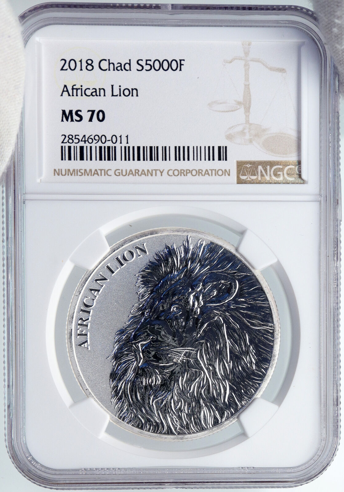 2018 CHAD African ARTISTIC LION Map Antique Silver 5000 Francs Coin NGC i89266