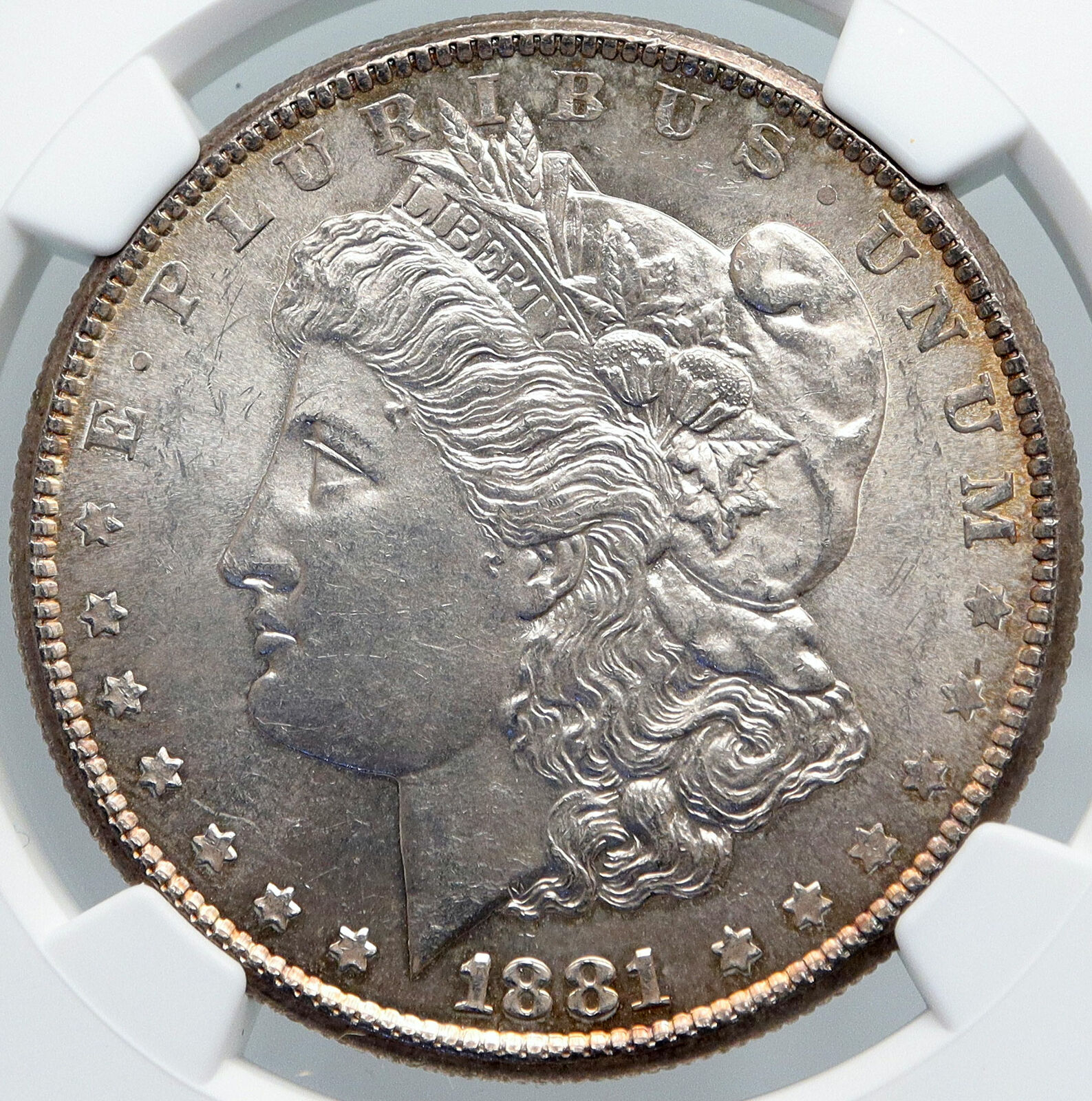 1881 S UNITED STATES of America SILVER Morgan US Dollar Coin EAGLE MS NGC i89167