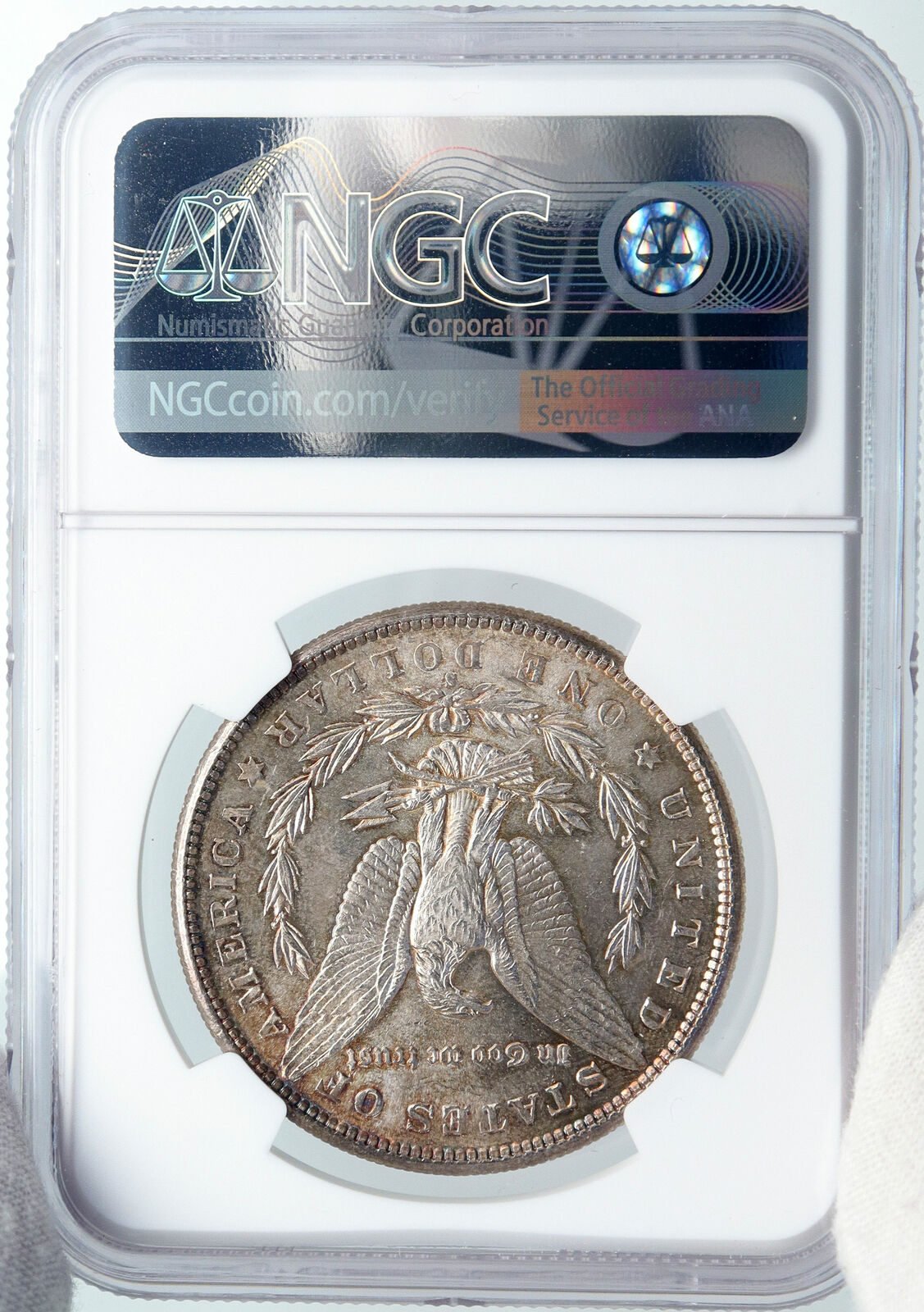 1881 S UNITED STATES of America SILVER Morgan US Dollar Coin EAGLE MS NGC i89167