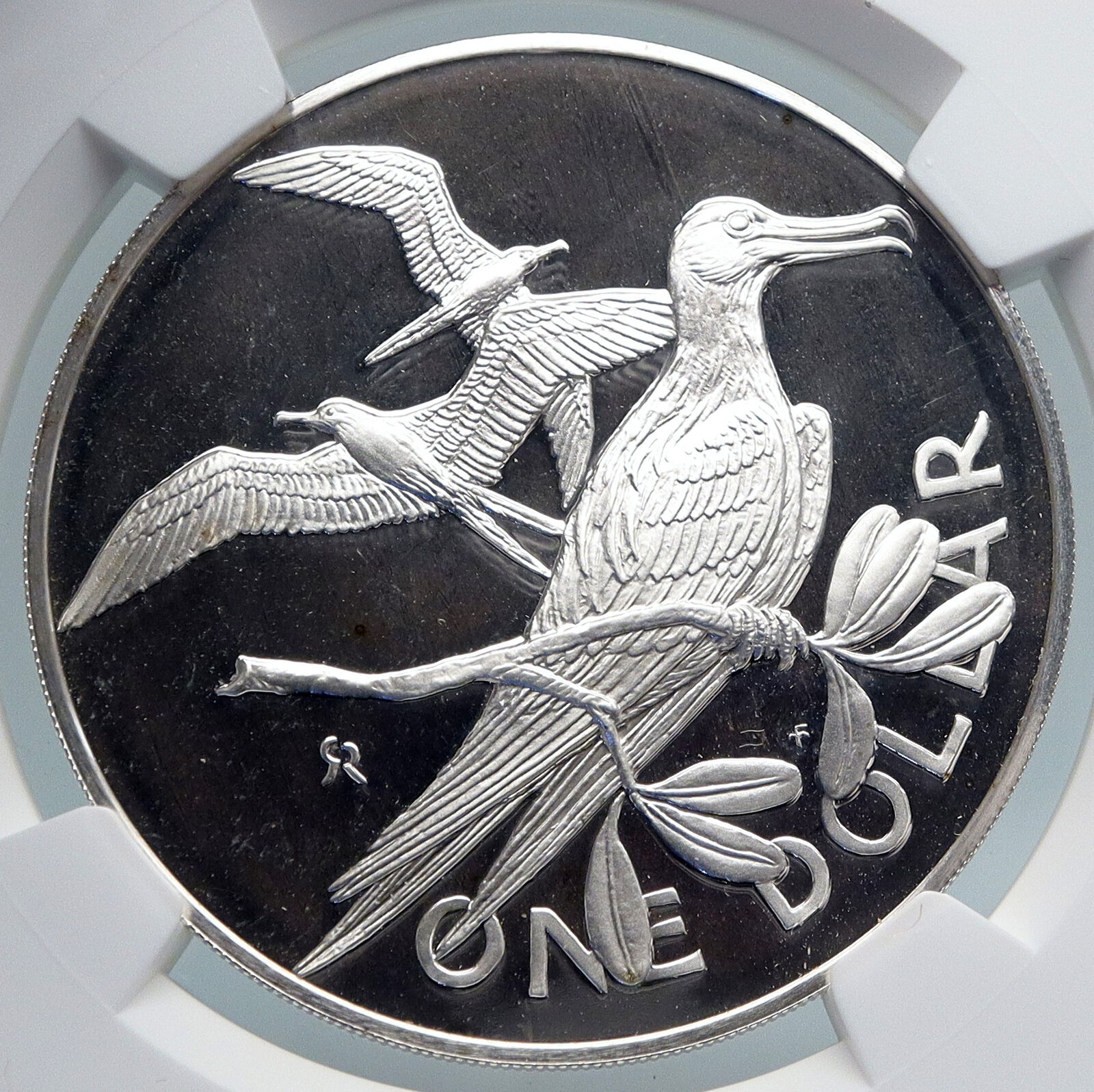 1974 British Virgin Islands Queen Elizabeth II BIRD Proof Silver Coin NGC i89326