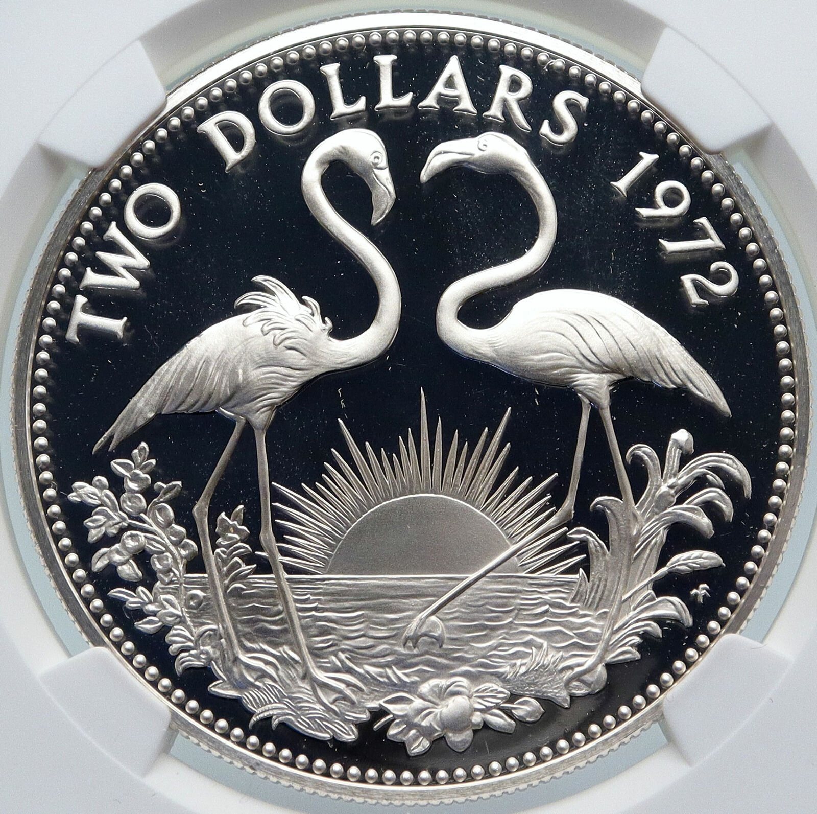 1972 The BAHAMAS Old Queen Elizabeth II FLAMINGO Proof Silver $2 Coin NGC i85450