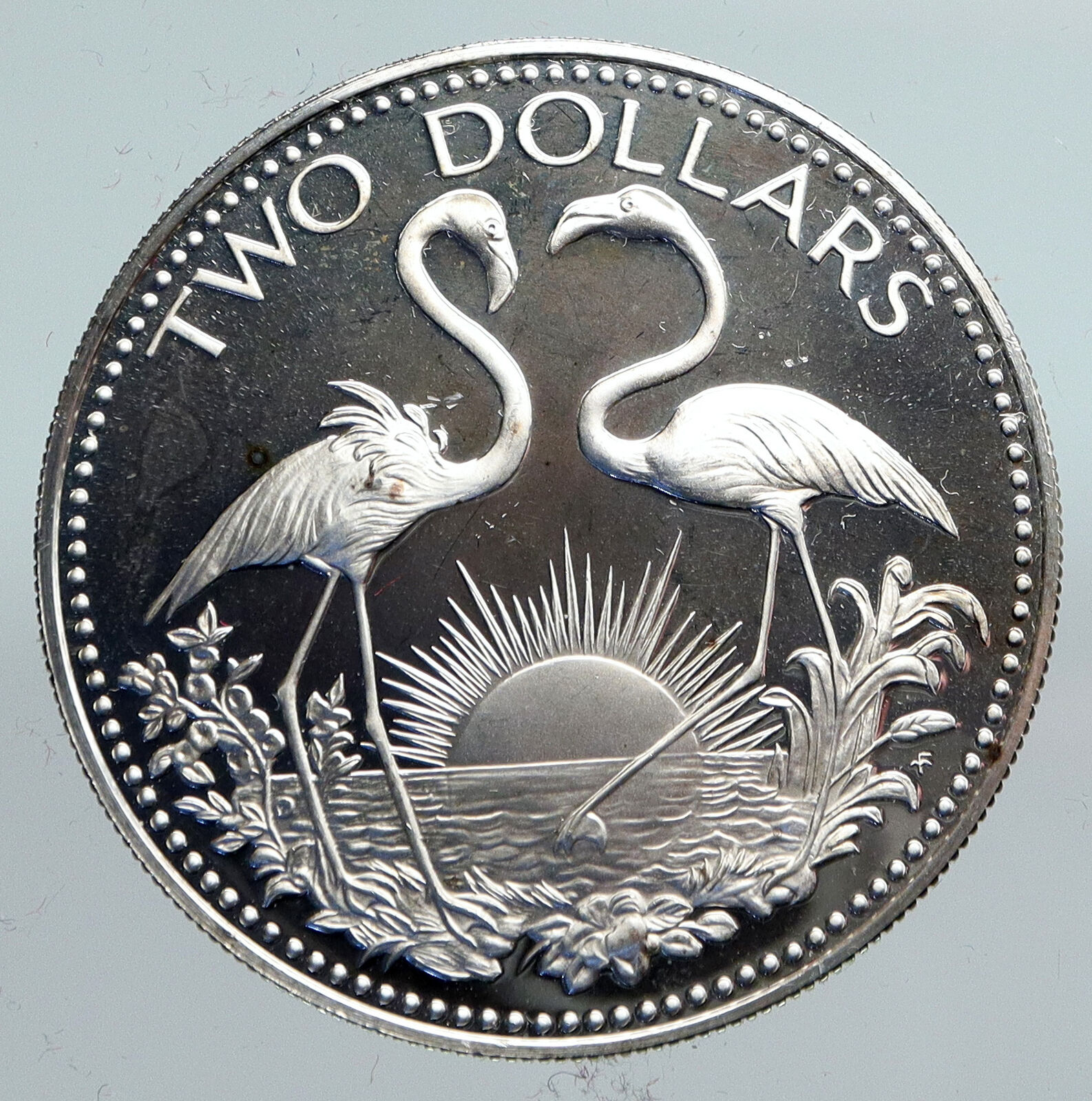 1975 The BAHAMAS Islands TWO FLAMINGOS Vintage Proof Silver 2 Dollar Coin i90304