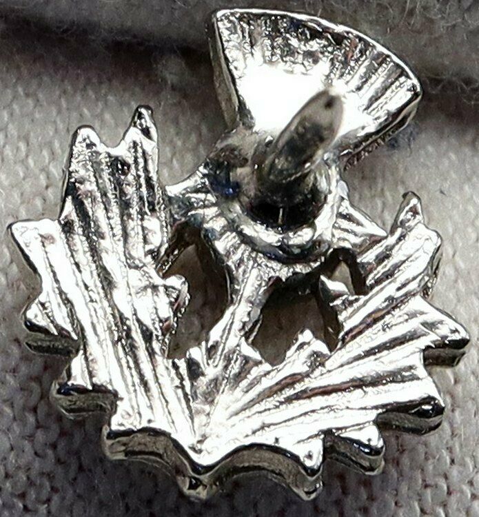 USA FREEMASON Welcome Symbol PINEAPPLE Scottish Rite OLD Masonic Pin i90388