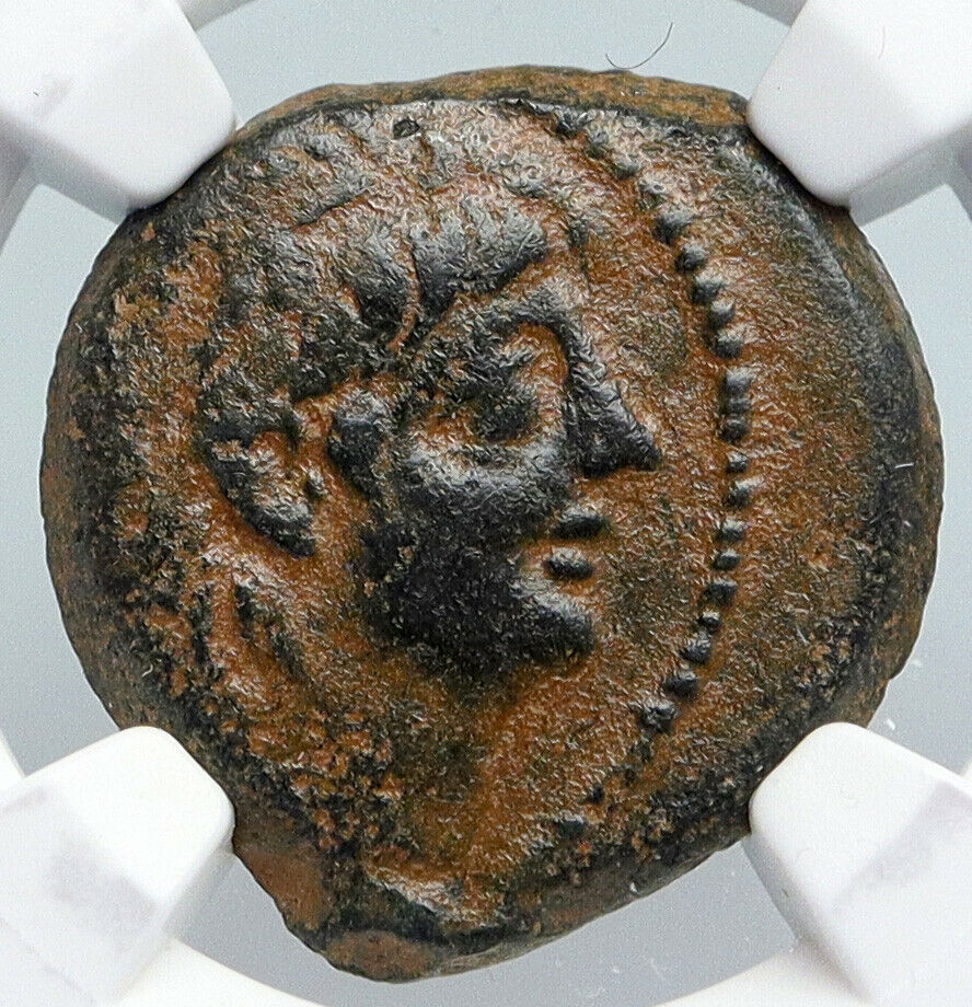 ALEXANDER II ZABINAS Seleukid Authentic Ancient Greek Coin CORNUCOPIA NGC i90426