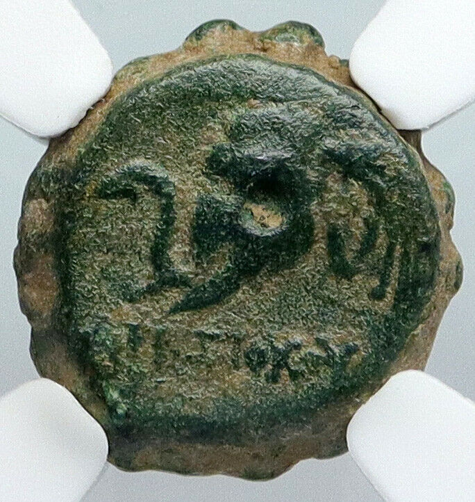 ANTIOCHOS IV EPIPHANES 175BC Authentic Ancient Seleucid Greek Coin NGC i90427