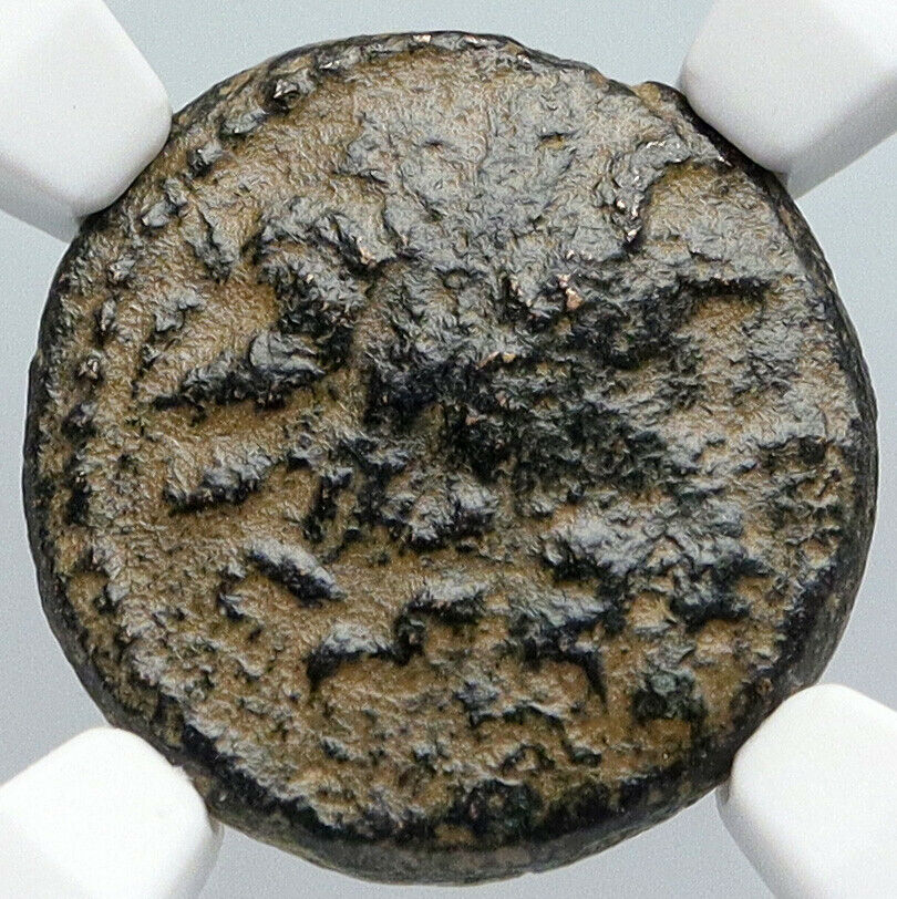 ANTIOCH in SELEUKIS and PIERIA Zeus Tripod Ancient Greek Coin RARE NGC i90592