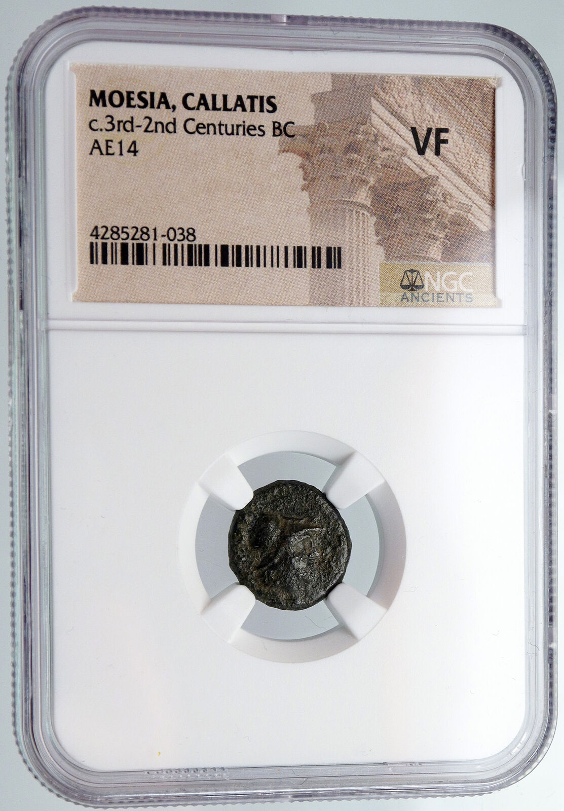 KALLATIS MOESIA Authentic Ancient 300-200BC Greek Coin ATHENA & Grain NGC i90593