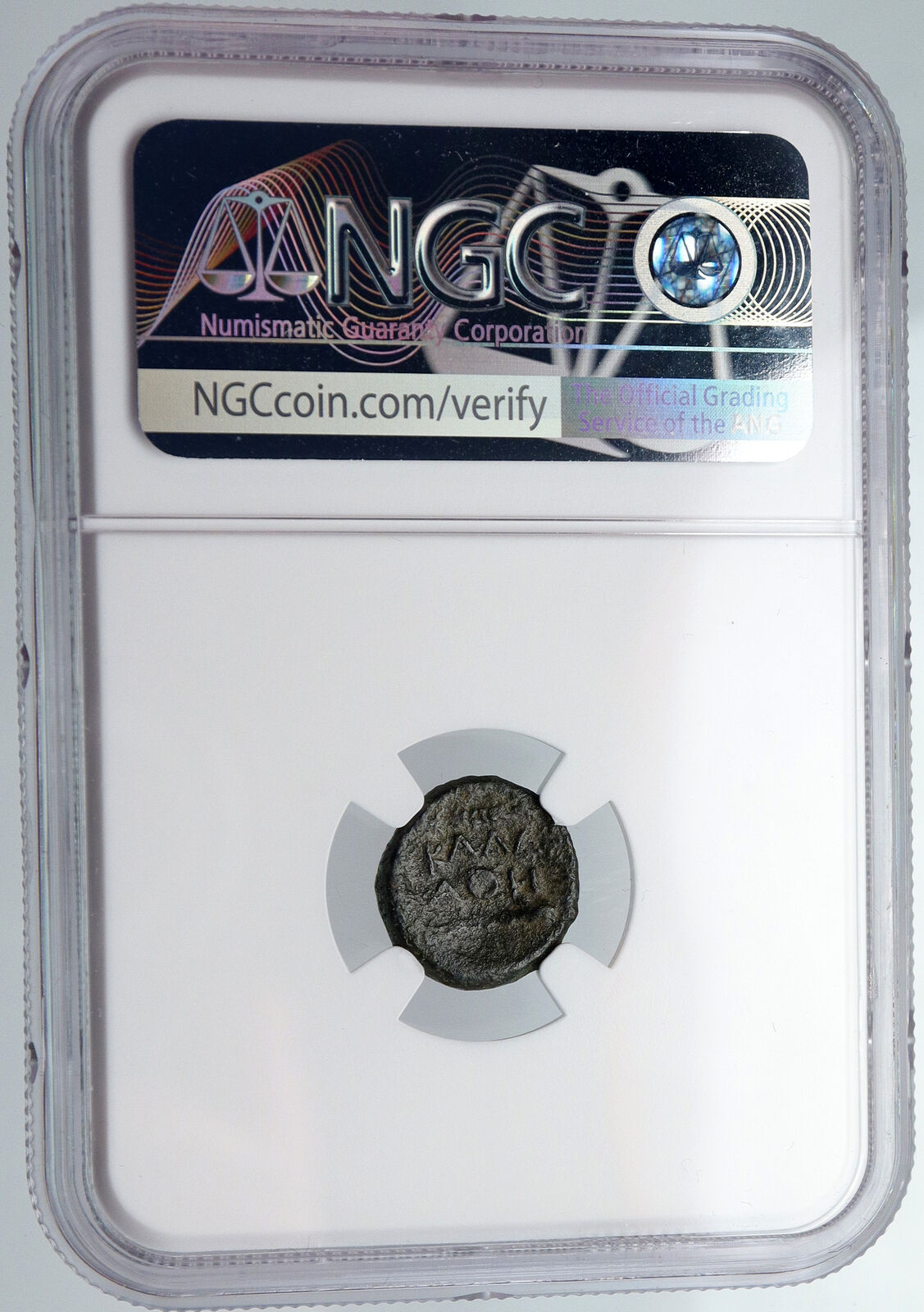 KALLATIS MOESIA Authentic Ancient 300-200BC Greek Coin ATHENA & Grain NGC i90593