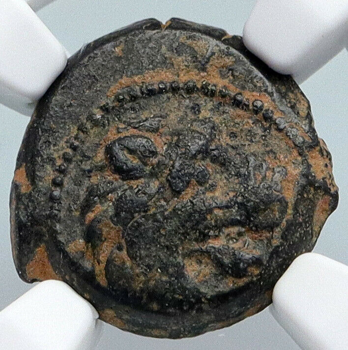 ANTIOCHOS VII Sidetes 138BC Seleukid Ancient Greek Coin NEMEAN LION NGC i90003