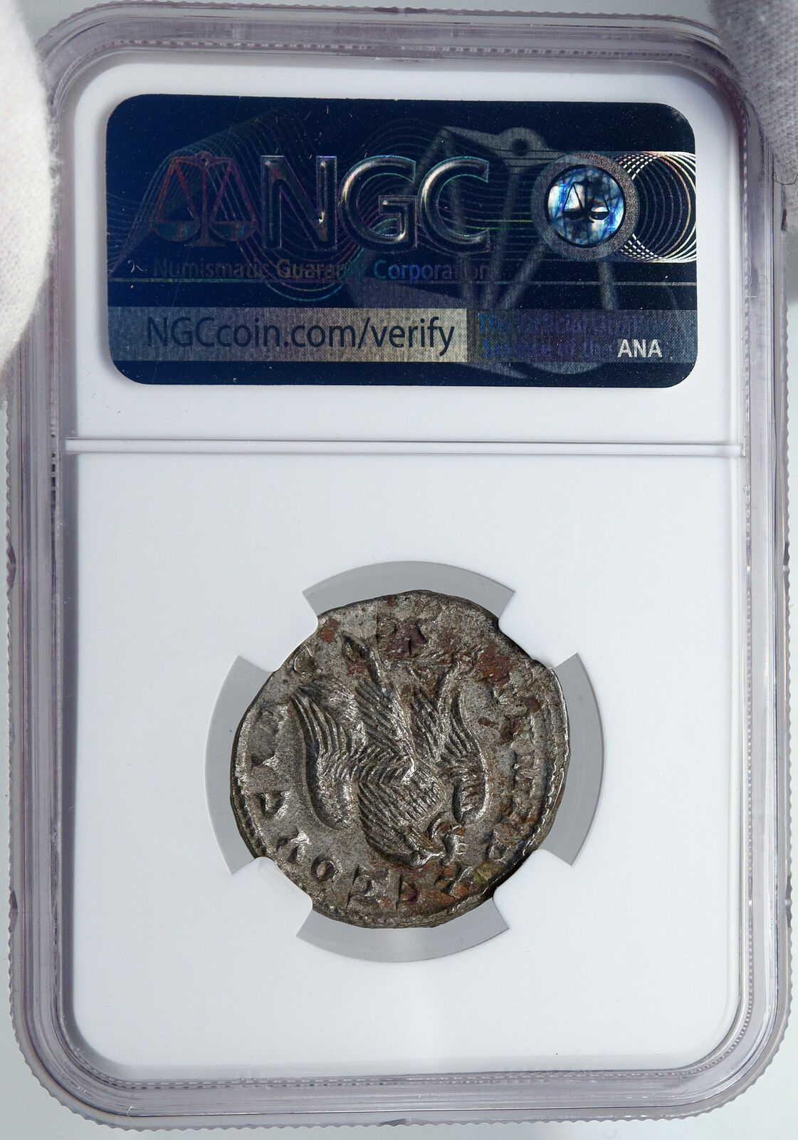 HERENNIA ETRUSCILLA Ancient 250AD OLD Silver Roman Coin EAGLE & PALM NGC i87719