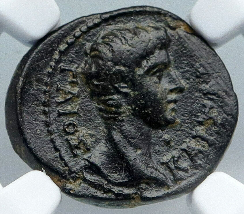 GAIUS CAESAR 21BC Laodiceia Phrygia Zeus Eagle OLD Ancient Roman Coin NGC i88932