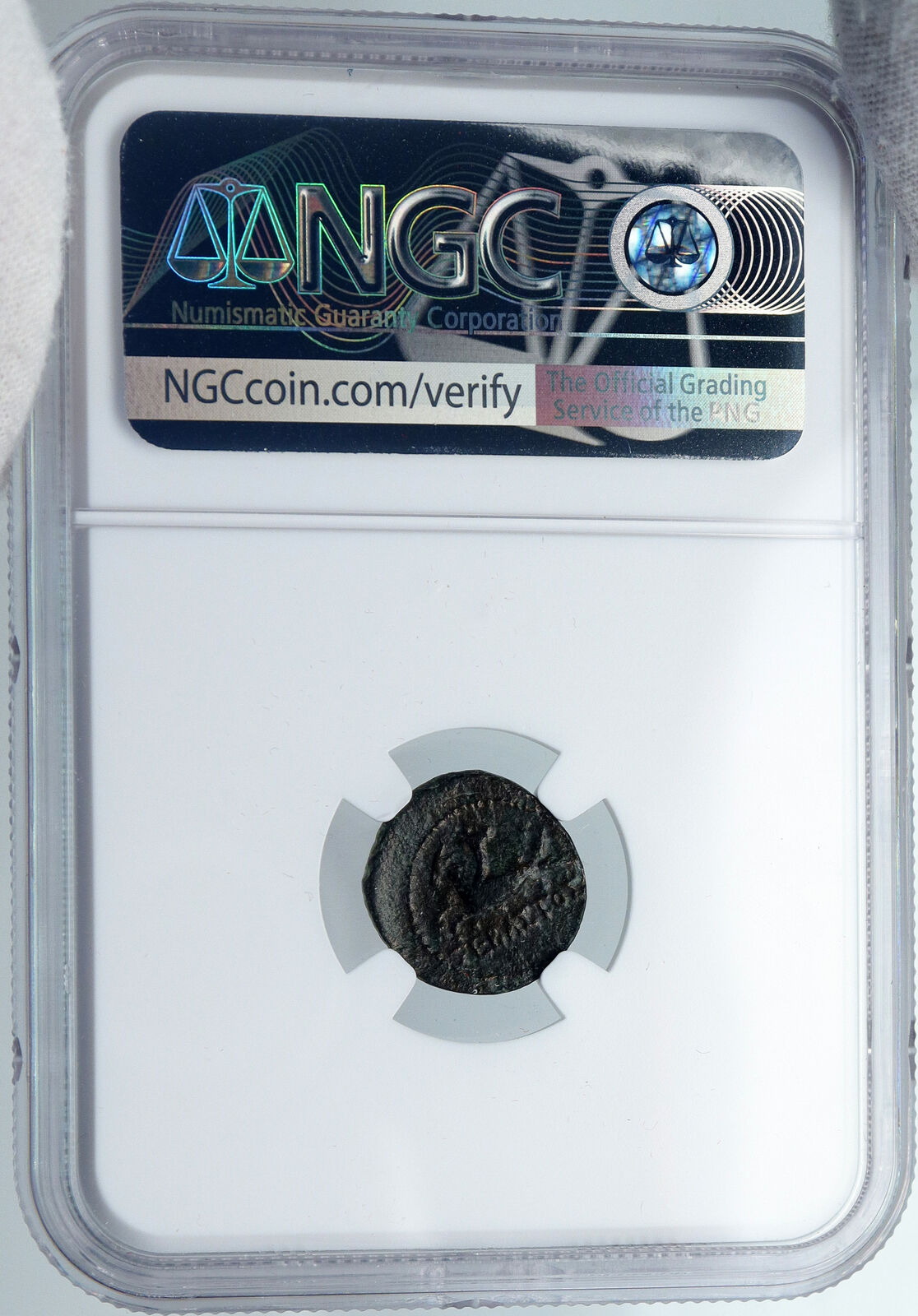 TREPEZOPOLIS in CARIA Ancient AUGUSTUS Greek Coin CAPRICORN SILENOS NGC i88931