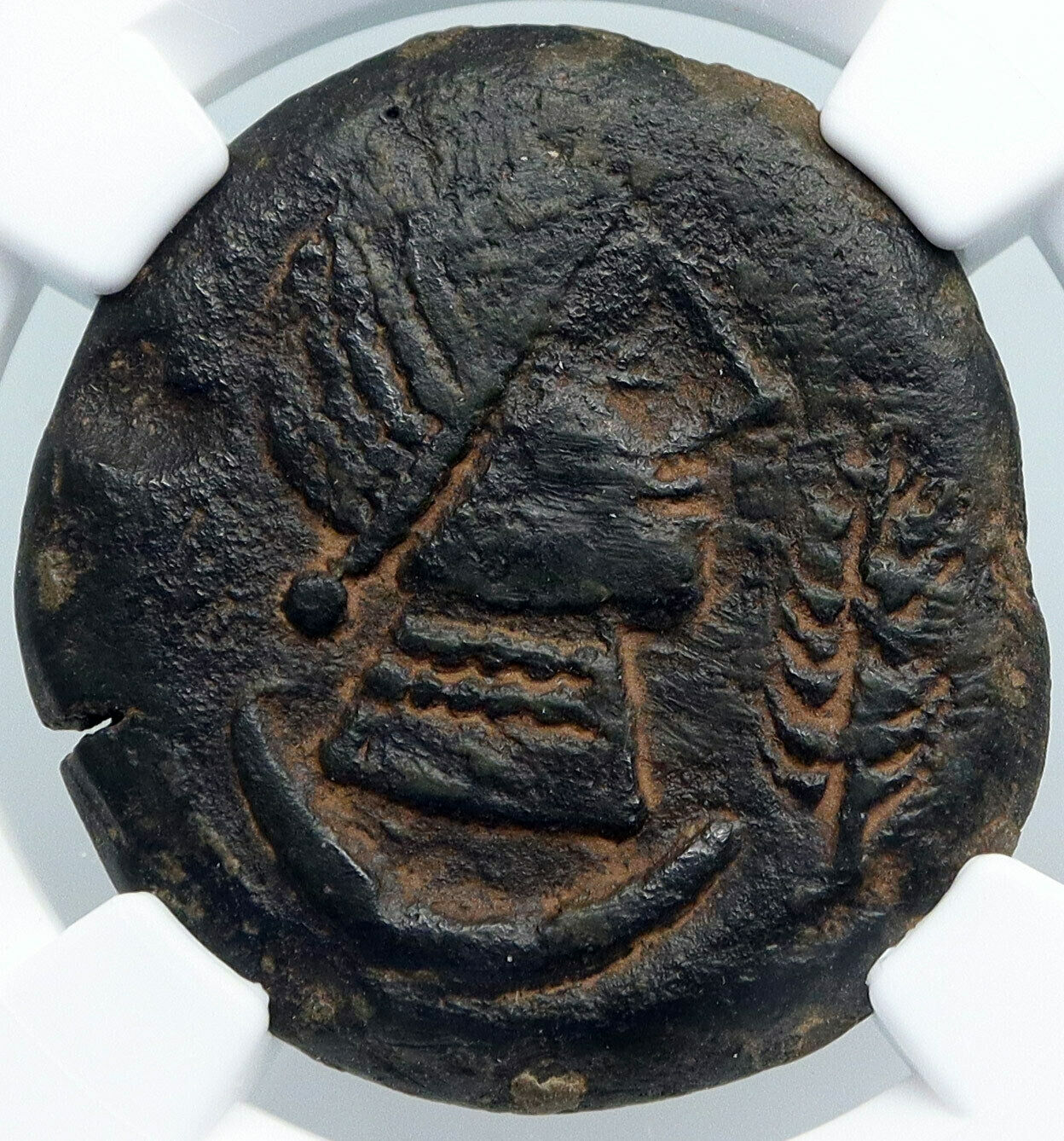 ULIA in SPAIN Authentic Ancient 200 BC OLD Iberian Greek Spanish Coin NGC i88935