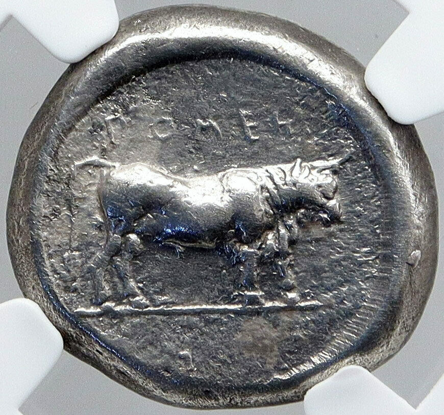 POSEIDONIA Paestum in LUCANIA Authentic OLD Ancient Silver Greek Coin NGC i87732