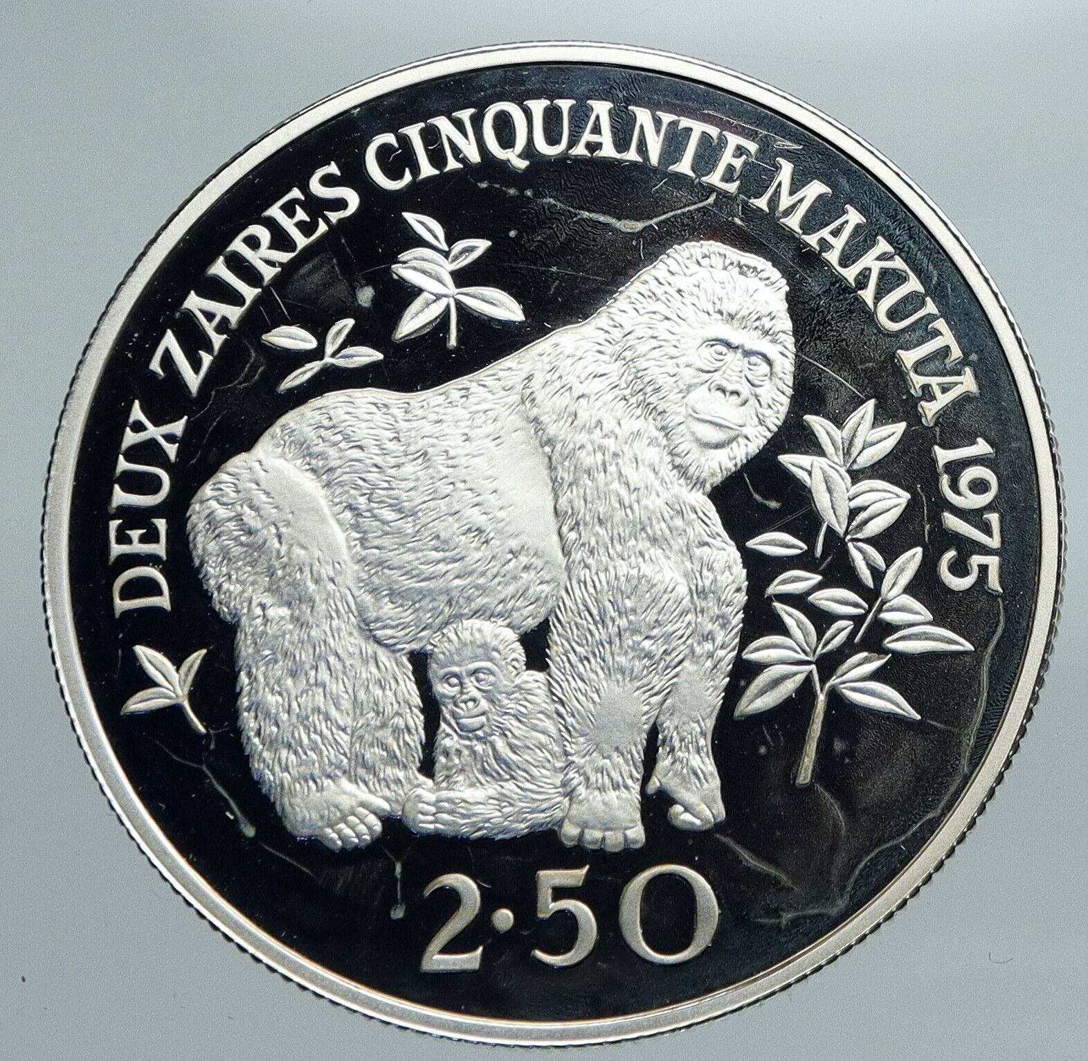 1975 ZAIRE CONGO Mobuto CONSERVATION Proof Silver 2 1/2 Zaires Coin i91361