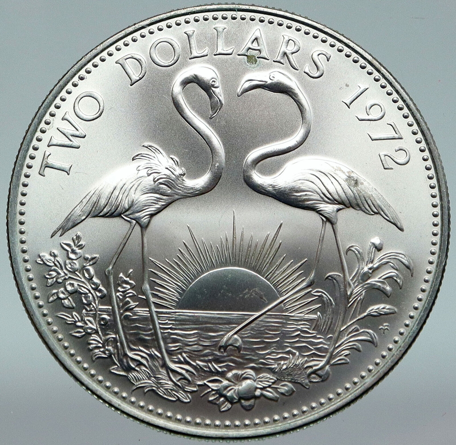 1972 The BAHAMAS SILVER 2 Dollars Large Coin Elizabeth II FLAMINGO Birds i87314