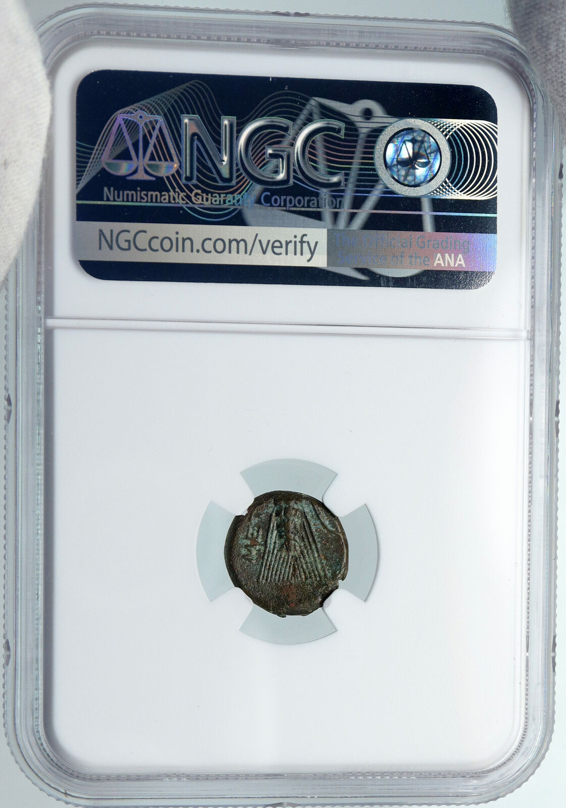 METAPONTION in LUCANIA ARCHAIC Ancient 300BC OLD VINTAGE Greek Coin NGC i88380