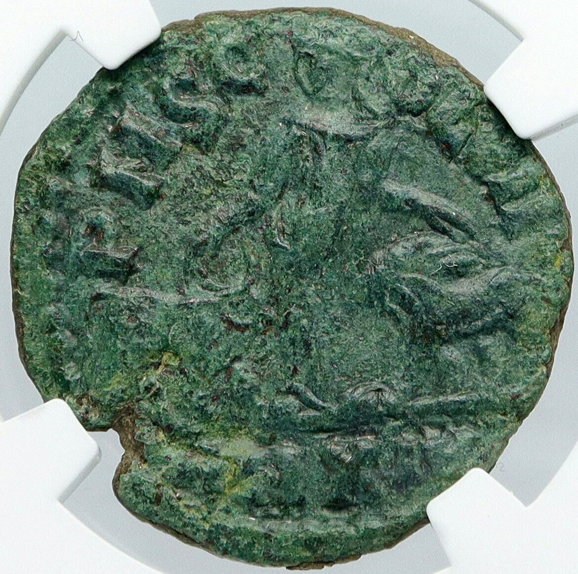 ROME Emperor Trebonianus Gallus MOESIA VIMINACIUM Ancient Roman Coin NGC i88709