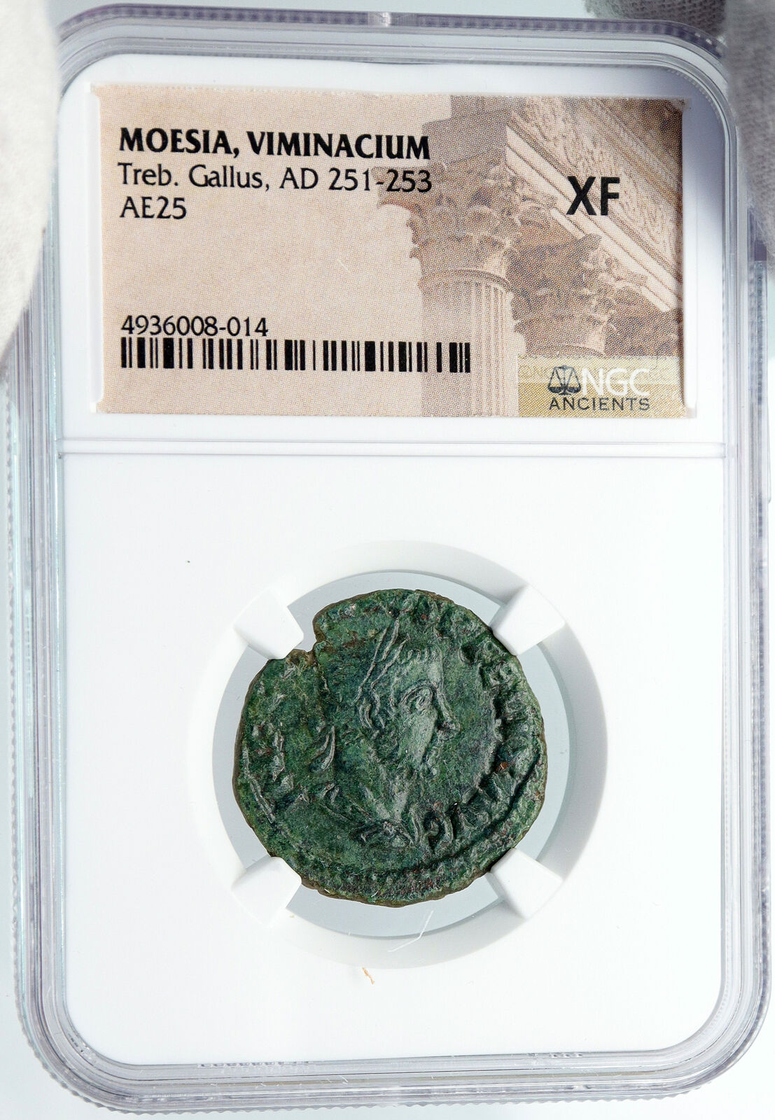 ROME Emperor Trebonianus Gallus MOESIA VIMINACIUM Ancient Roman Coin NGC i88709