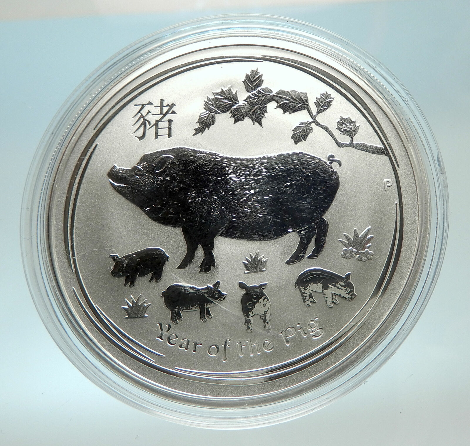 2019 AUSTRALIA Elizabeth II Chinese Zodiac Pig Year Genuine Silver Coin i76593