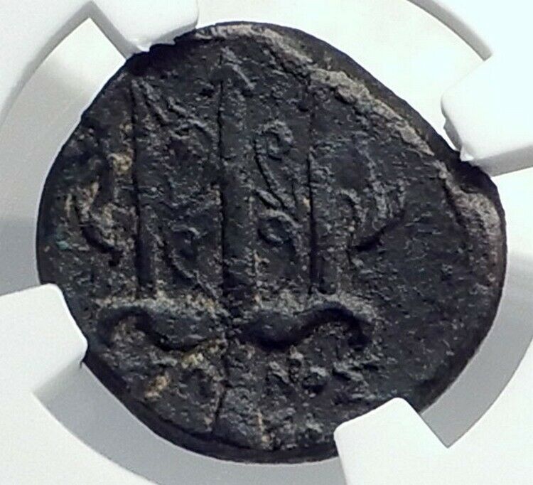 SYRACUSE SICILY Hieron II 240BC Ancient Greek Coin POSEIDON DOLPHIN NGC i77282