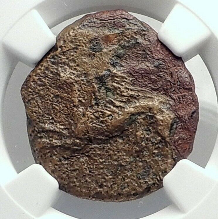 TAURIC CHERSONESOS 320BC Authentic Ancient Greek Coin GRIFFIN ARTEMIS NGC i77475