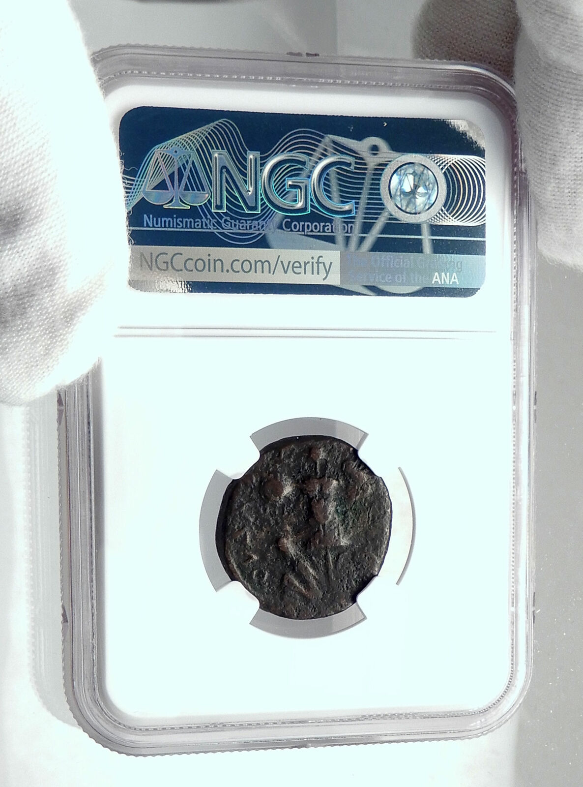 TITUS Very Rare JUDAEA CAPTA Issue of CAEASAREA in JUDAEA Roman Coin NGC i80953