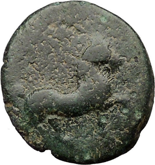 Ancient Greek City 300BC Ancient Greek Coin Horse Trident i31847