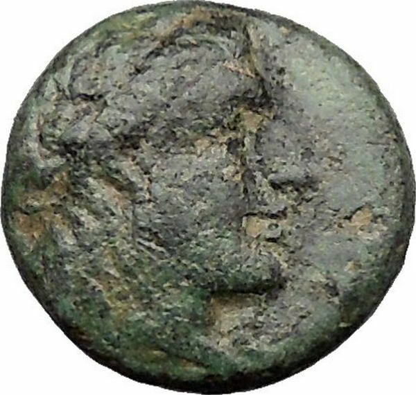 Antiochus I Soter Seleucid Kingdom Ancient Greek Coin APOLLO Lyre Rare i31826