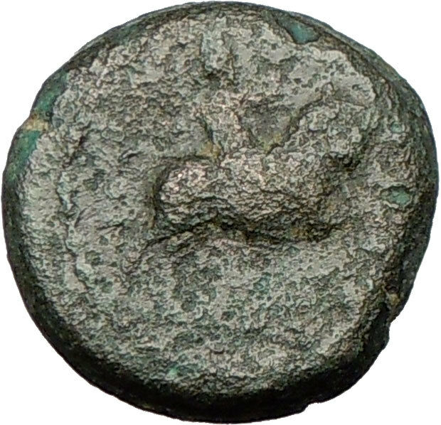 CLAUDIUS 41AD Amphipolis Macedonia Artemis on Bull Ancient Roman Coin i24926