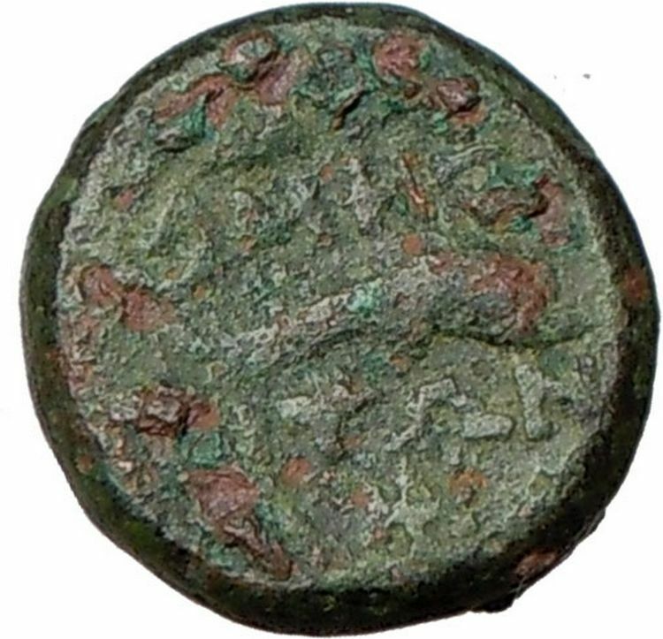 Amphipolis Macedonia 200BC Ancient Rare Greek Coin Dolphin River God i24071