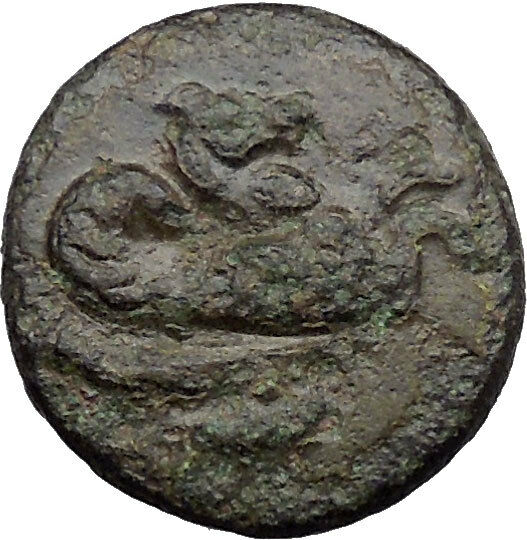 Skepsis in Troas 350BC Ancient Greek Coin Pegasus winged horse Fir tree i31791