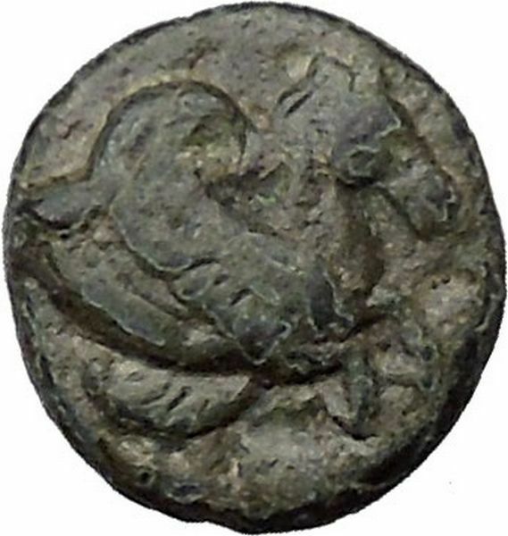 Skepsis in Troas 350BC Ancient Greek Coin Pegasus winged horse Fir tree i31799