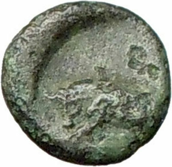 Greek City 350BC Authentic Ancient Greek Coin Bull APOLLO i28183