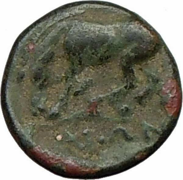 LARISSA THESSALY 360BC Genuine Ancient Greek Coin Nymph HORSE i19500