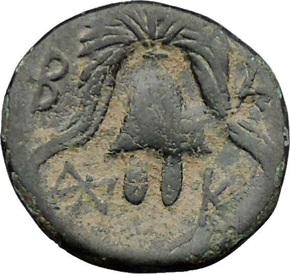 Macedonia during the Interregnum 320BC Ancient Greek Coin Medusa Helmet i31800